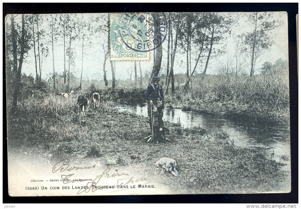 Cpa Du 40 Un Coin Des Landes -- Troupeau Dans Le Marais ....  Ychoux   JA15 39 - Autres & Non Classés