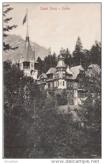 CASTEL PELES 51038  SINAIA 1913 - Roumanie