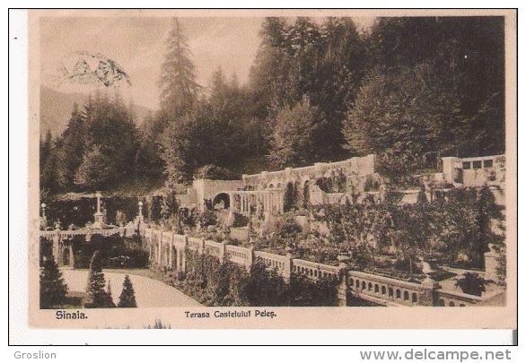 SINAIA 3009 TERESA CASTELULUI PELES   1912 - Roumanie