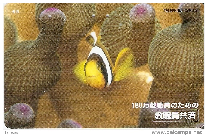 TARJETA DE JAPON DE UN PEZ PAYASO (FISH) - Peces