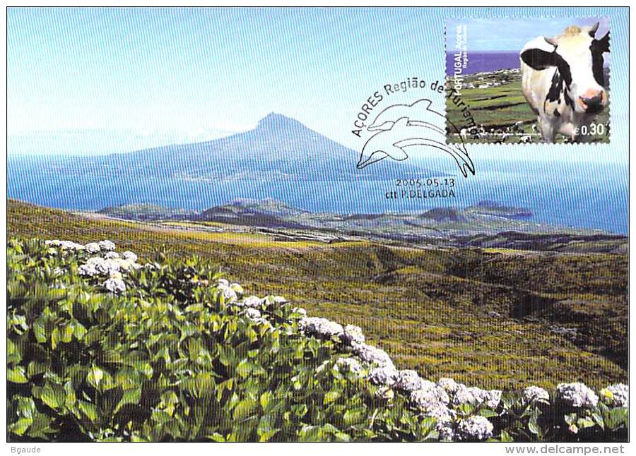 ACORES CARTE MAXI NUM.YVERT 498  TOURISME - Maximum Cards & Covers