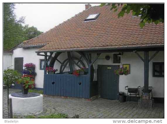 BAAL Bij Tremelo (Vlaams-Brabant) - Molen/moulin - Mooie Prentkaart Van De Botermolen Bij Hoeve De Bonte Os - Tremelo