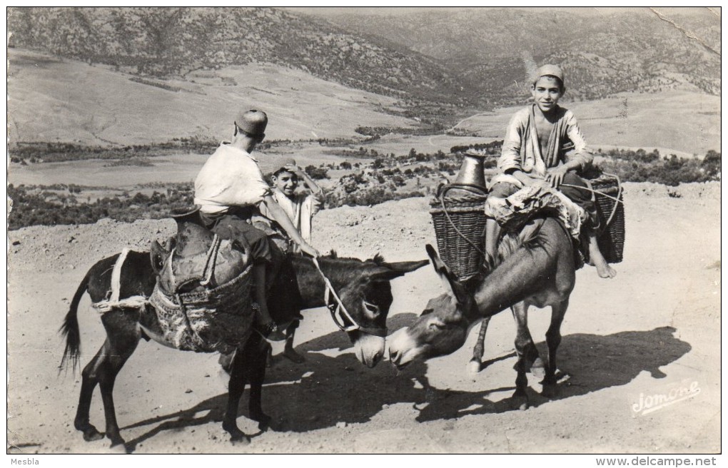 CPA   -  LA  KABYLIE  -  Porteurs D' Eau    (Enfants Sur Des Anes) - Scènes & Types