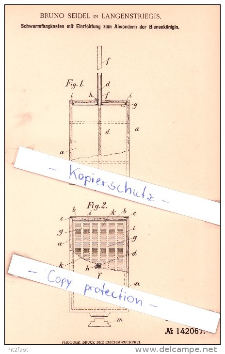 Original Patent - Bruno Seidel In Langenstriegis B. Frankenberg I. Sa., 1902 , Schwarmfangkasten , Imkerei !!! - Frankenberg