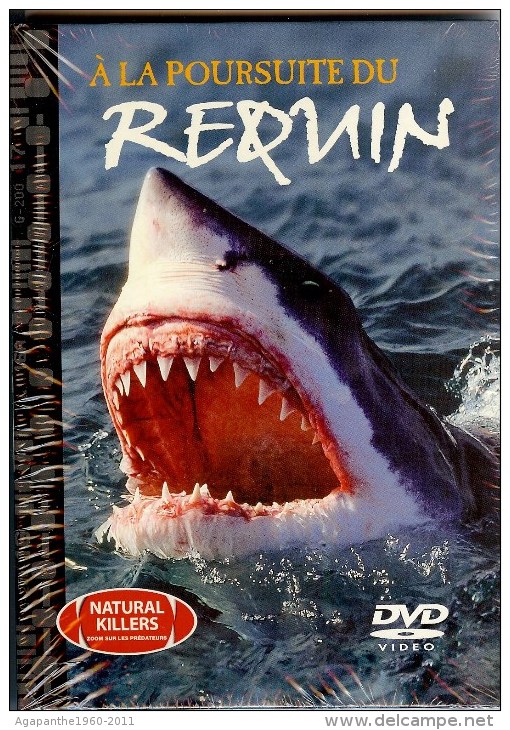025 - DVD DOCUMENTAIRE    -  A La Poursuite Du Requin -    NEUF SOUS CELLOPHANE - Documentaires
