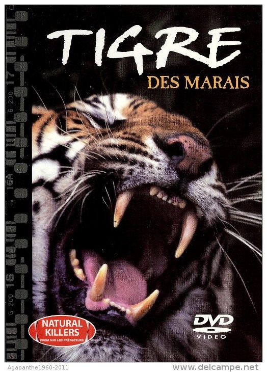 026 - DVD DOCUMENTAIRE    -  Le Tigre Des Marais - Dokumentarfilme