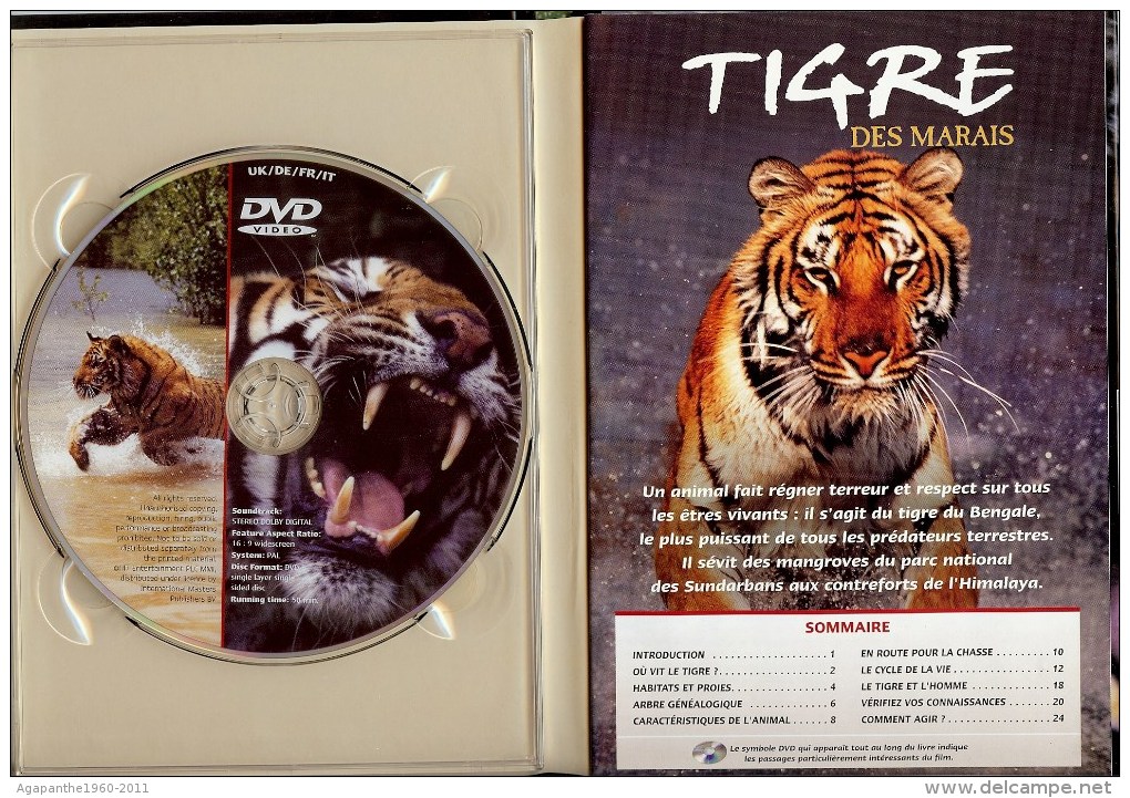 026 - DVD DOCUMENTAIRE    -  Le Tigre Des Marais - Documentari