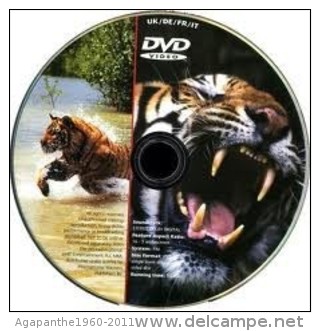 026 - DVD DOCUMENTAIRE    -  Le Tigre Des Marais - Dokumentarfilme