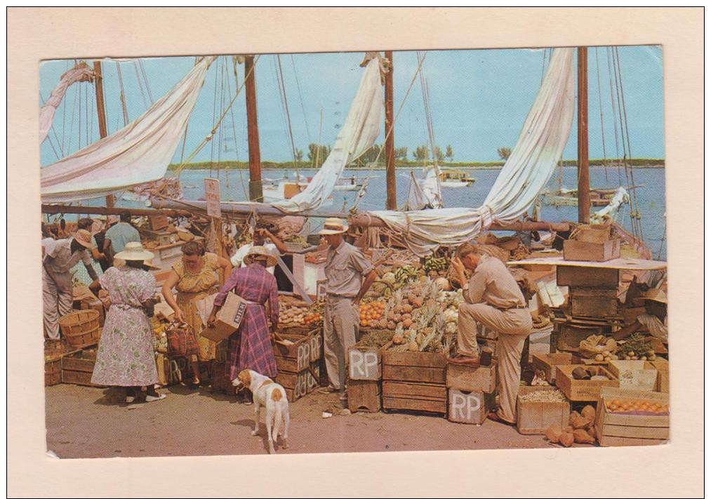 D54638 Postcard Vintage Bahamas Nassau, Harbour Side Market, Sailboats, Hound Type Dog,, Used - Autres & Non Classés