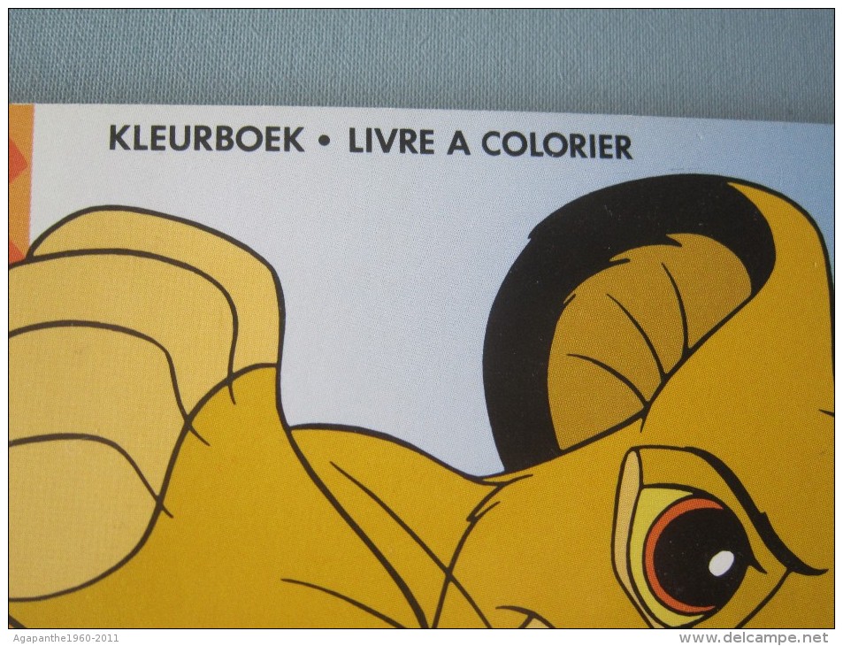 028 - LE ROI LION     --     LIVRE A COLORIER - Disney