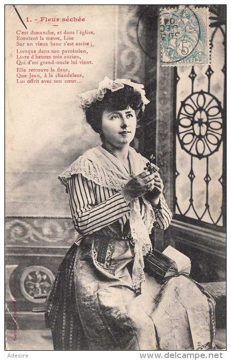 FLEUR SÈCHÈE - 1904 - Autres & Non Classés