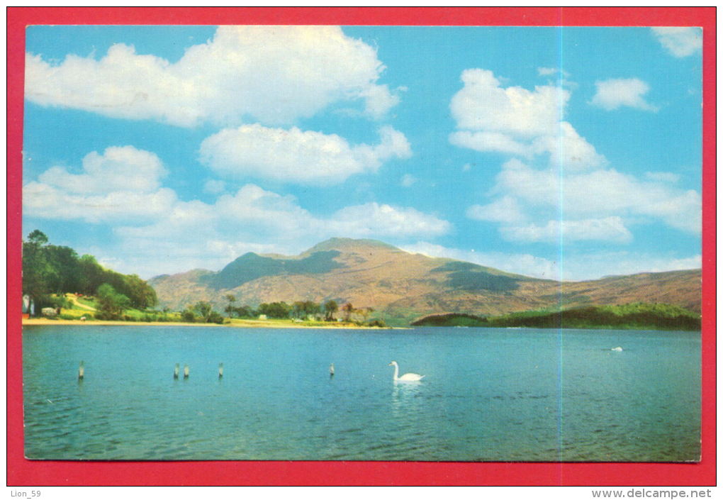 163064 / LOCH LOMOND FROM BEN LOMOND , SWAN - USED 1968 Great Britain Grande-Bretagne Grossbritannien Gran Bretagna - Wigtownshire