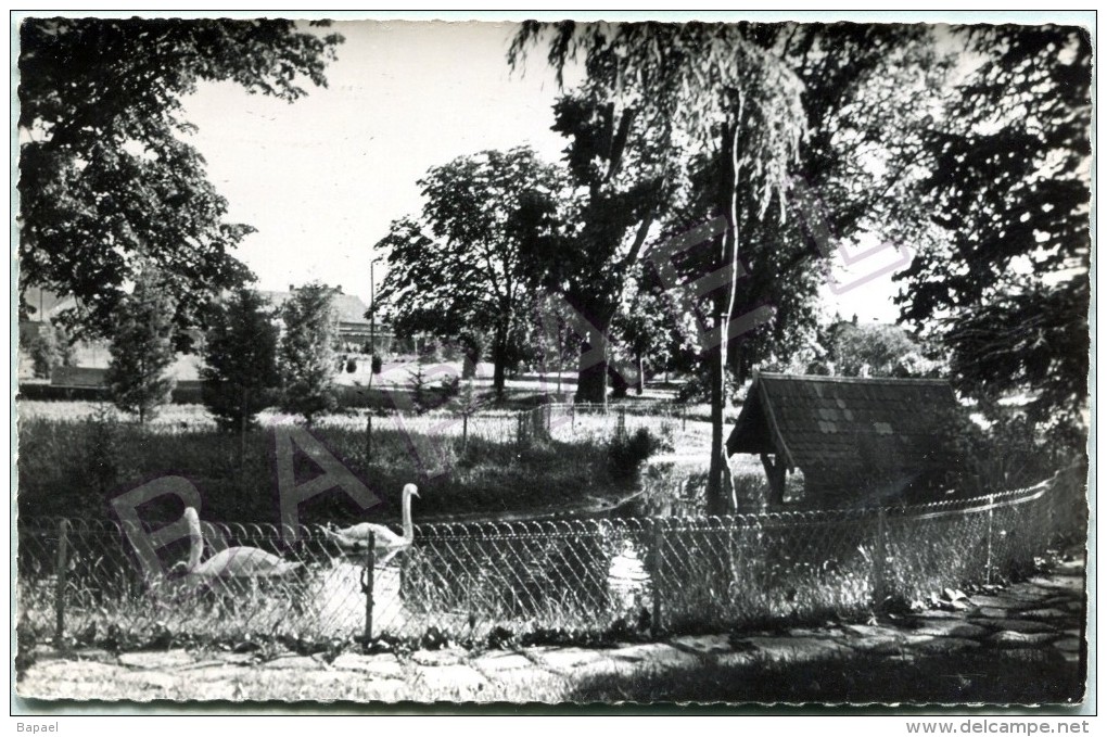 Décines (69) (Autrefois Dans L'Isère 38) - Le Nouveau Jardin Public - Autres & Non Classés