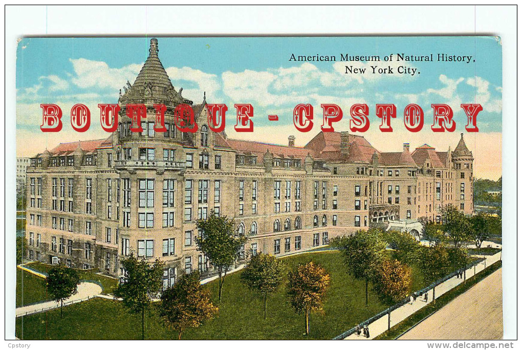 NY - NEW YORK CITY - AMERICAN MUSEUM OF NATURAL HISTORY - VINTAGE POSTCARD UNITED STATES - DOS SCANNE - Musea