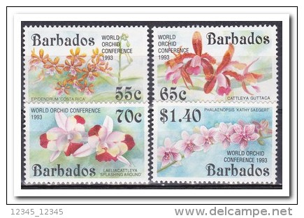 Barbados 1993, Postfris MNH, Flowers, Orchids - Barbados (1966-...)