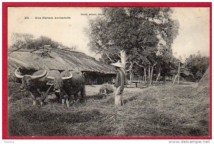 Une Ferme Annamite - Vietnam