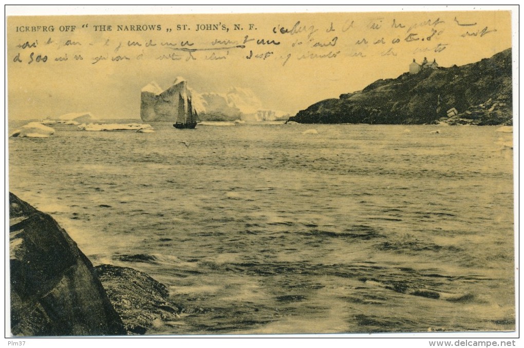 ST JOHN´S - Iceberg Off  "The Narrows" - St. John's