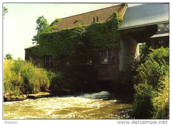 MEERHOUT (Antw.) - Molen/moulin - De Watermolen Ca. 25 Jaar Geleden Voor De Inrichting Als Taverne (deels In Tegenlicht) - Meerhout