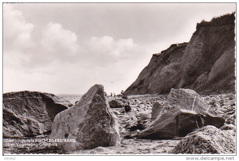 AK Campingplatz Fischlegerstrand über Vogelsang-Grünholz - 1959 (12323) - Damp