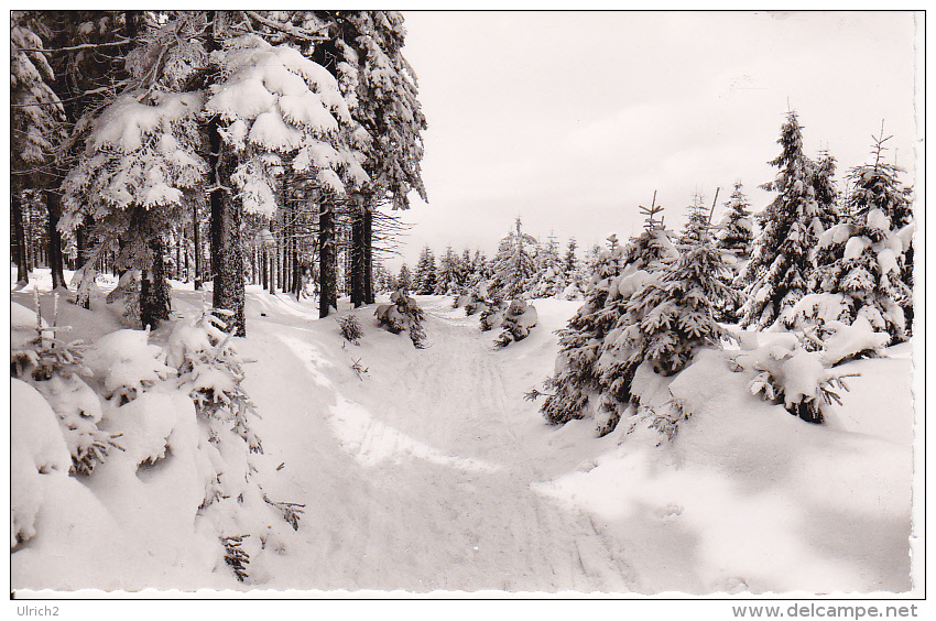 AK Der Harz - Tiefer Winter (12326) - Oberharz