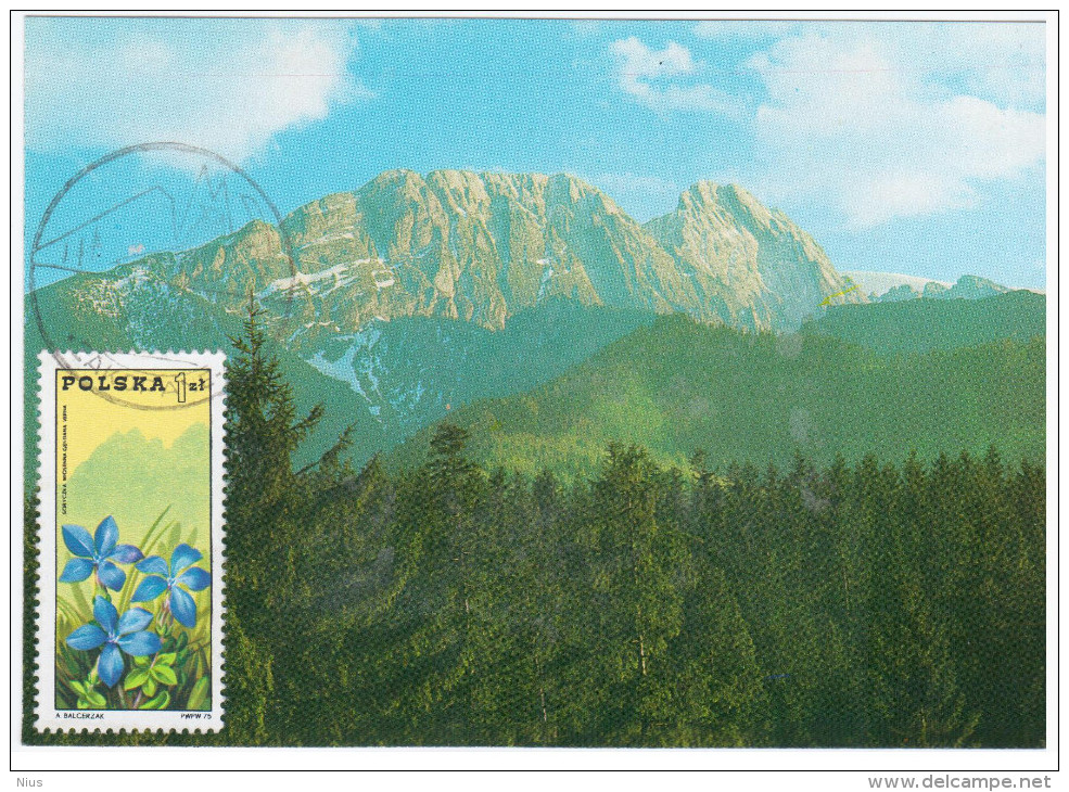 Poland 1996 Zakopane, Tatra Mountains Tatry - Maximum Cards