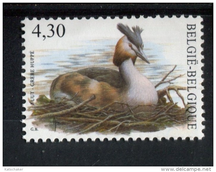301764152 BELGIE POSTFRIS MINT NEVER HINGED POSTFRISCH EINWANDFREI OCB 3538 Fuut - 1985-.. Birds (Buzin)