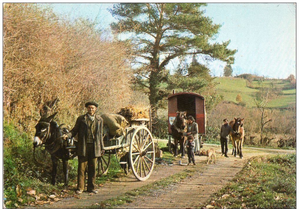 Cpsm  65  Trie-sur-baise , Scen Animee De " Romanichels " Gitans..bohemiens , Roulottes , Anne , Chevaux - Autres & Non Classés