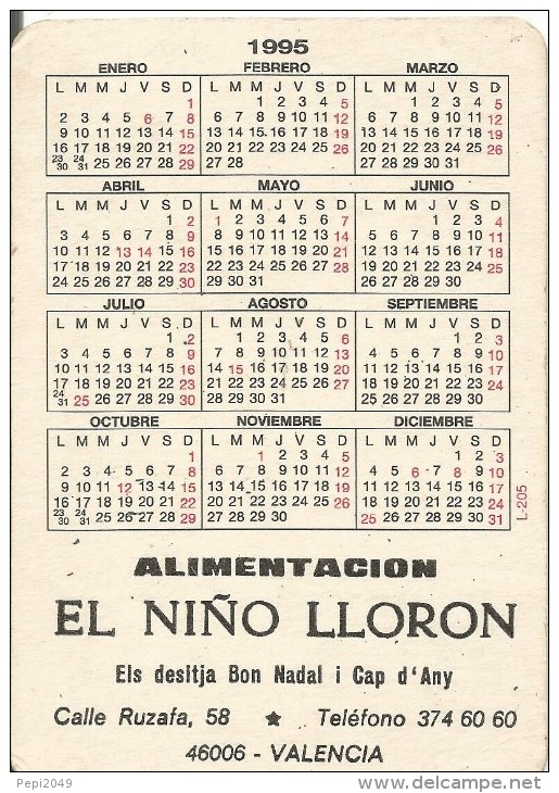 C15 - CALENDARIO 1995 - SAN PANCRACIO - ALIMENTACION EL NIÑO LLORON - VALENCIA - Tamaño Pequeño : 1991-00