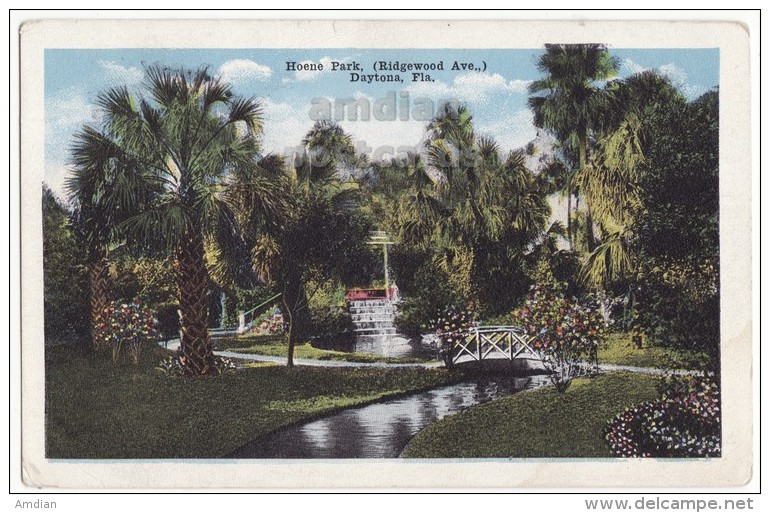 USA - DAYTONA FL - HOENE PARK (RIDGEWOOD AVENUE) VIEW ~ca 1910s-1920s Florida Unused Vintage Postcard [5714] - Daytona