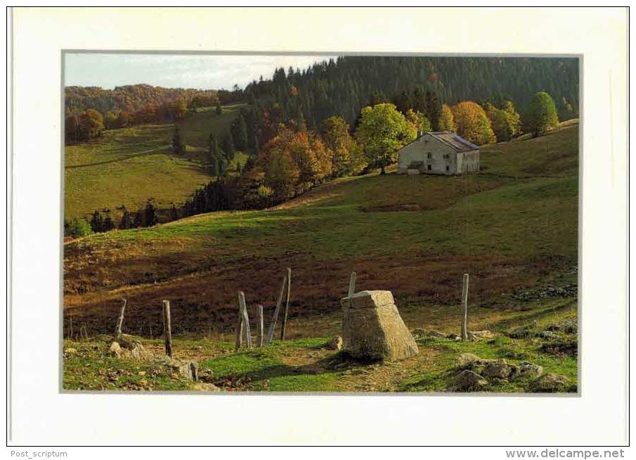 Jura - La Borne Aux Lions Au Crêt De Chalam - Non Classés