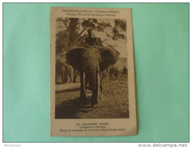 La Croisière Noire, L'Eléphant D'AFRIQUE, Ecole De Dressage De La Ferme D'API - CONGO BELGE - Congo Belge