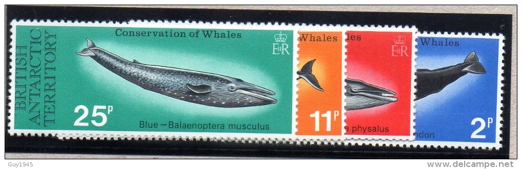 ANTARCTIQUE BRITANNIQUE : TP N° 64/67 ** - Unused Stamps