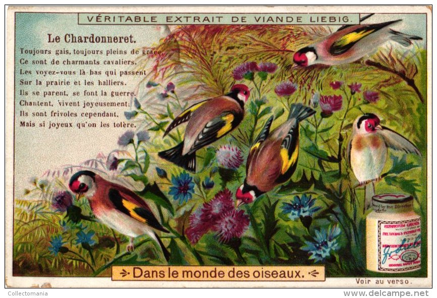 0651 Dans Le Monde Des Oiseaux LIEBIG Complete Set Alcyon, Merle  Doré, Huppe,  Bec Croisé,  Chardonneret, Grimpereaux - Liebig