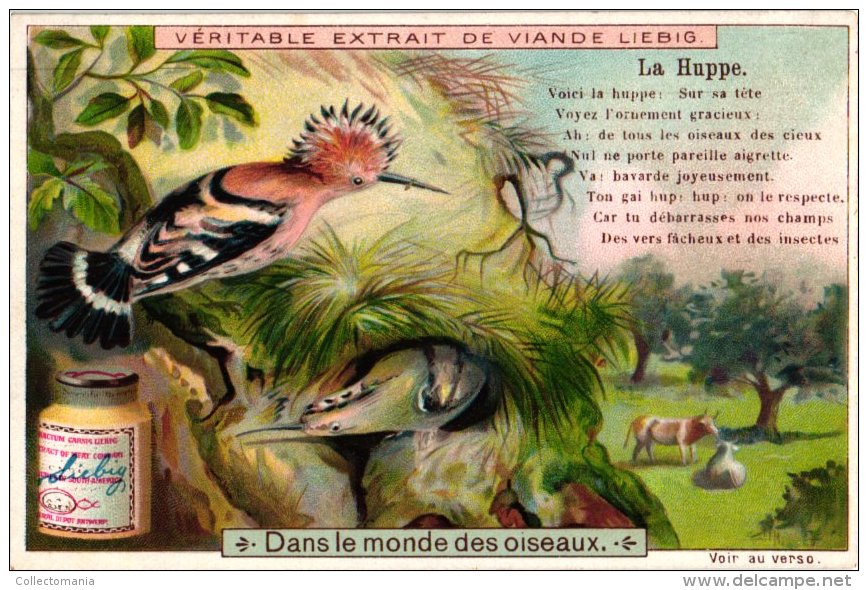 0651 Dans le monde des oiseaux LIEBIG complete set Alcyon, Merle  Doré, huppe,  Bec Croisé,  Chardonneret, Grimpereaux