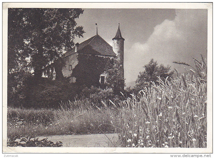 Switzerland Erntezeit 1938 Photo Gaberell Thalwil - Thalwil