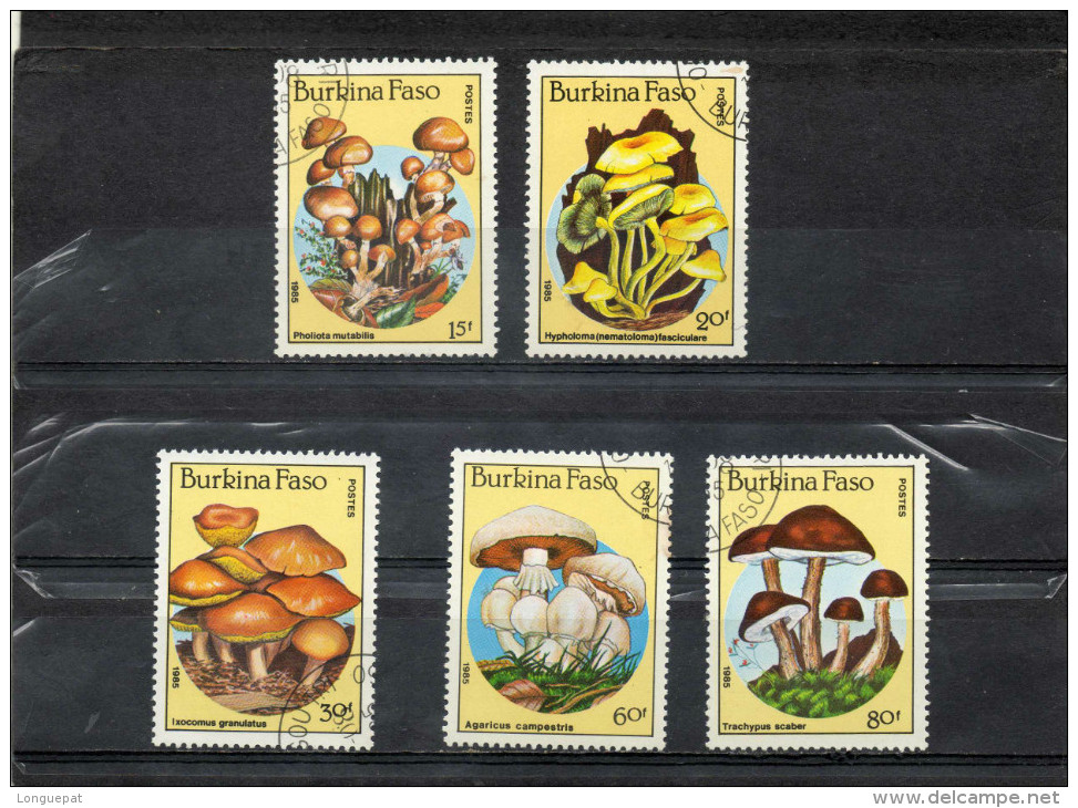 BURKINA FASO :  Champignons -: Agaricus Scaber, Pholiata Mutabilis, Etc - Flore - - Burkina Faso (1984-...)