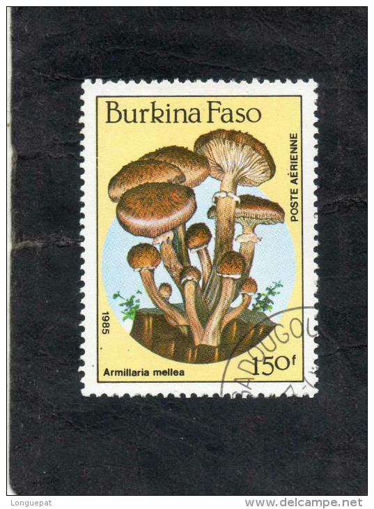 BURKINA FASO : Champignon : Amarilla Mellea (Armillaire Couleur De Miel) - Flore - - Burkina Faso (1984-...)