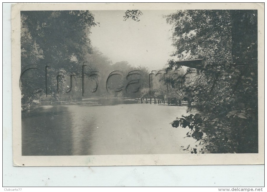 Jarnac (16) : Les Bords De La Charente Vue Prise De L'Aviron Jarnaçais  En 1954 PF - Jarnac