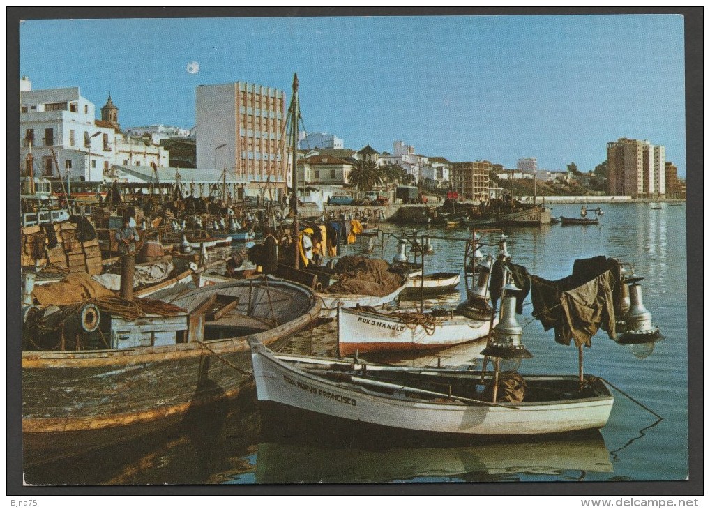 ALGECIRAS Puerto De Pesca -  Port De Pêche  / Ed. SUBIRATS CASANOVAS  / Circulée En 1977 - Jaén