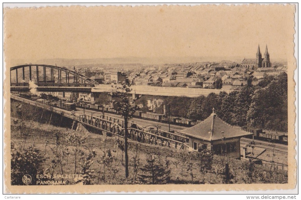 CPA,LUXEMBOURG,ESCH SUR ALZETTE,la Gare,chemin De Fer,mine De Fer,transport Par Wagon,ex Ville Sidérurgique - Esch-Alzette