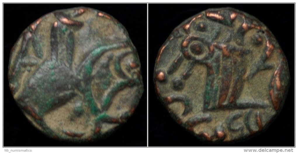 Kangra Kingdom AE Drachm - Indias