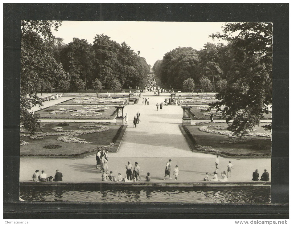 N*  BERLIN * TIERPARK BERLIN * SÜDPARTERRE MIT BLICK IN DIE HAUPTALLEE * 1965 **!! - Tiergarten