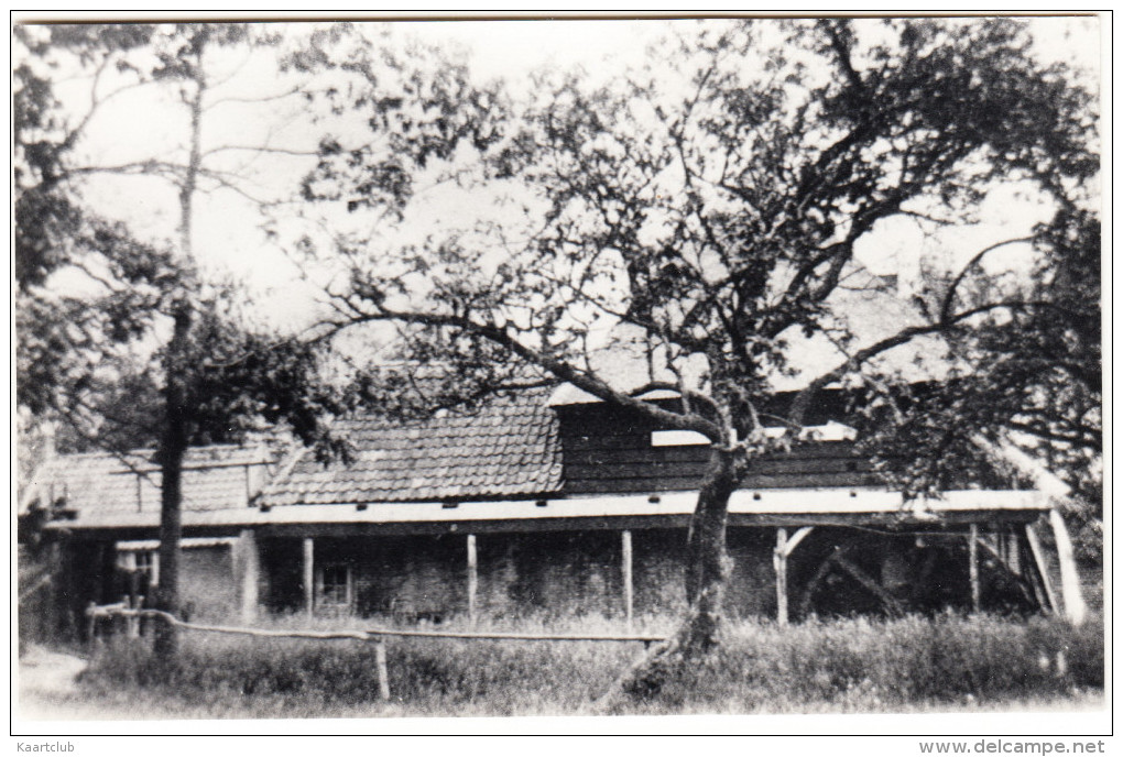 Laag-Soeren: Papiermolen ´Nagedacht´ Op De Laagsoerense Beek  (2)  - Gelderland/Nederland - Rheden