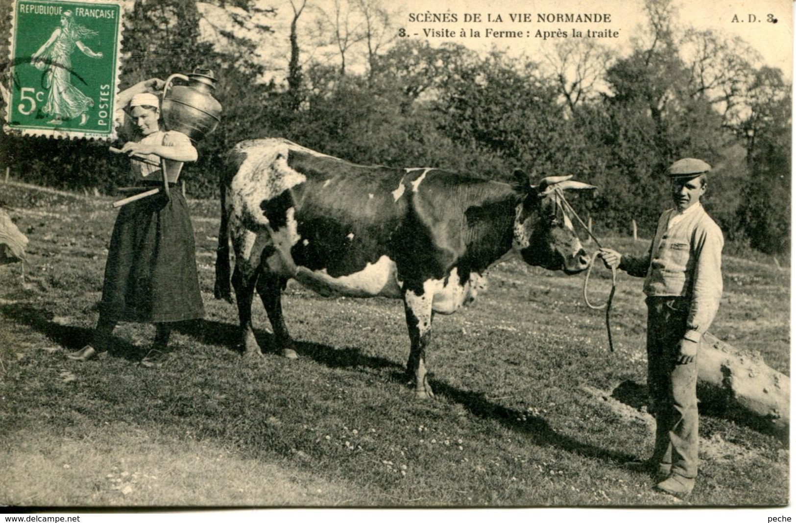 N°3502A -cpa Scènes De La Vie Normande - Vaches