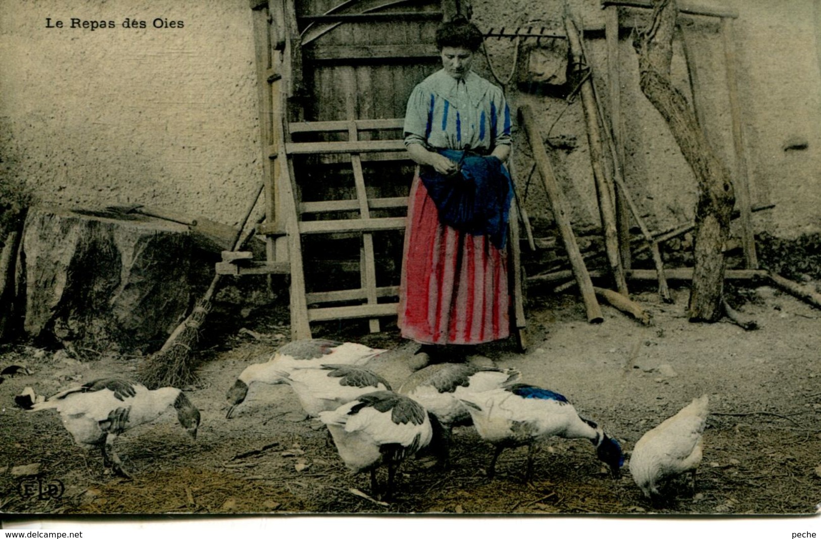 N°3507A -cpa Le Repas Des Oies - Breeding