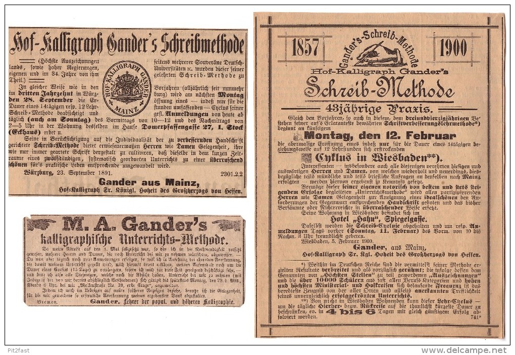 3x Werbung Von Hof- Kalligraph Gander In Mainz , 1886 , Feder , Federhalter , Kalligraphie !!! - Federn