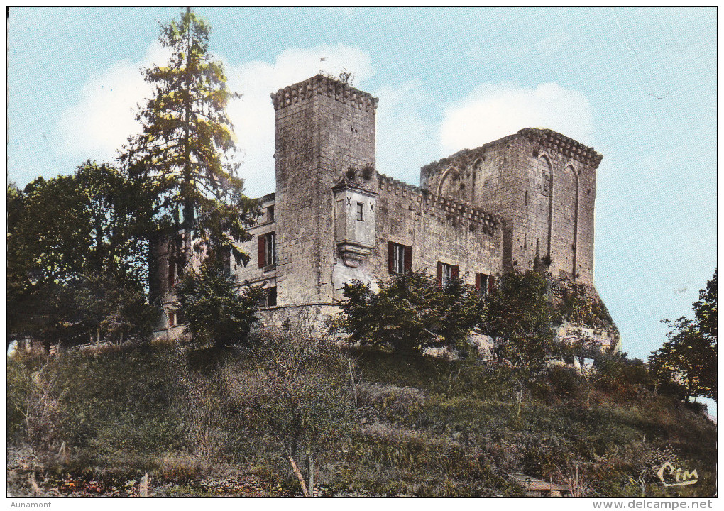 Francia--Perigueux--La Tour Blanche--Le Vieux Chateau-- - Castillos