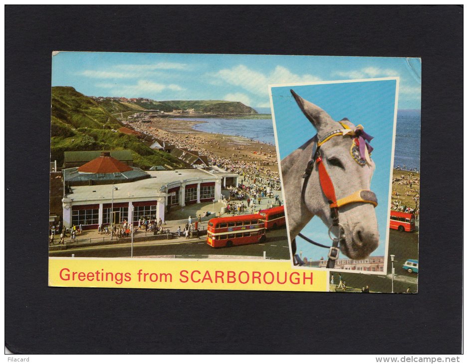 51651    Regno  Unito,   Greetings From  Scarborough,  Corner Cafe And North Bay,  VG  1974 - Scarborough
