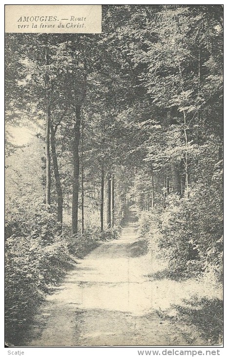 Amougies.  -  Route Vers La Ferme Du Christ.   1907 - Kluisbergen