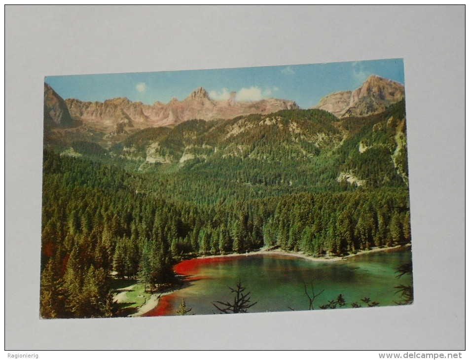 TRENTO - Tuenno - Lago Di Tovel - Dolomiti Di Brenta - 1965 - Trento